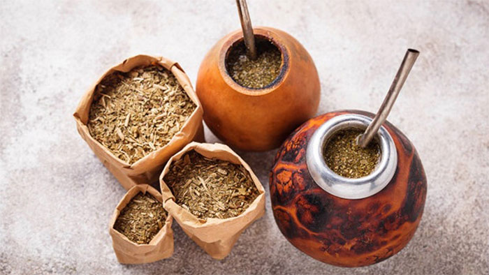 Trà Yerba Mate là gì?