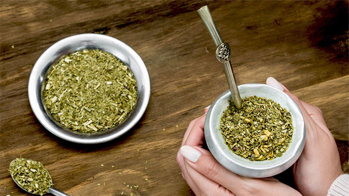Trà Yerba Mate là gì?