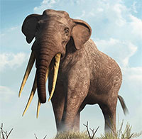 Gomphotheres: Loài voi cổ đại sở hữu đến 4 chiếc ngà