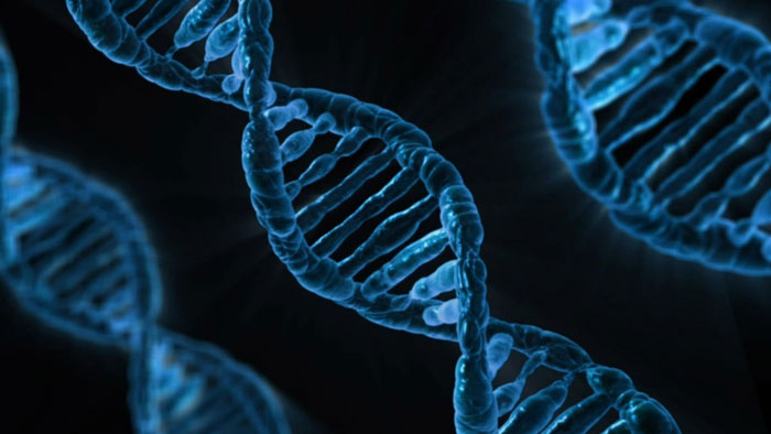 Bà mẹ này đã suýt mất quyền nuôi con vì DNA siêu hiếm!