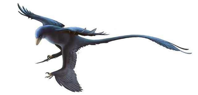 Microraptor