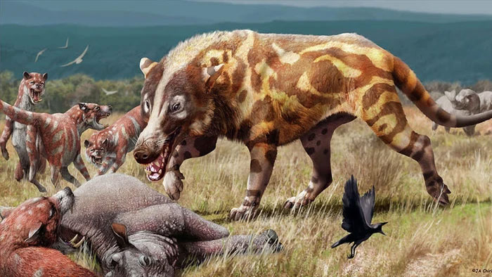 Andrewsarchus: Một trong những loài thú ăn thịt đáng sợ nhất từng tồn tại
