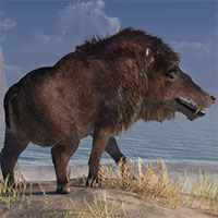 Andrewsarchus: Một trong những loài thú ăn thịt đáng sợ nhất từng tồn tại