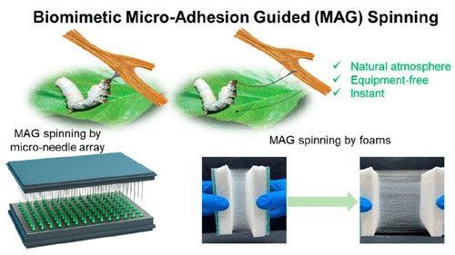 Xem tằm nhả tơ, các nhà khoa học tìm ra phương pháp mới để sản xuất sợi nano nhanh và hiệu quả