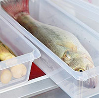 Cá bảo quản được bao lâu trong tủ lạnh?
