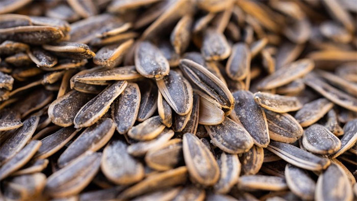 Bánh chưng cắt phần bị mốc còn ăn được không?