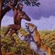 Ngoài con người, động vật nào về cơ bản không có kẻ thù tự nhiên?