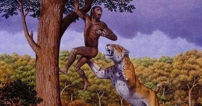 Ngoài con người, động vật nào về cơ bản không có kẻ thù tự nhiên?