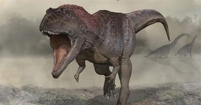 Những quái vật thế giới chưa từng biết lộ diện trong năm 2022