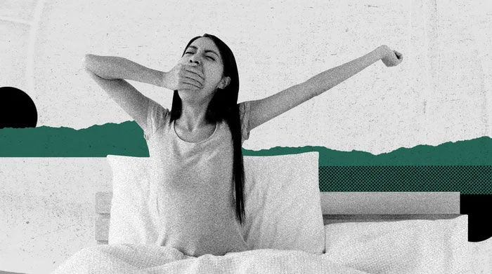 Tại sao con người và nhiều loài động vật lại vươn vai?
