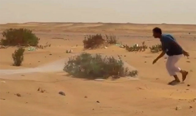 Dùng chài săn chim trên sa mạc