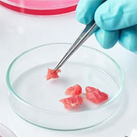 Thịt nuôi cấy trong phòng thí nghiệm liệu có thể thay thế "thịt thật" trong tương lai?