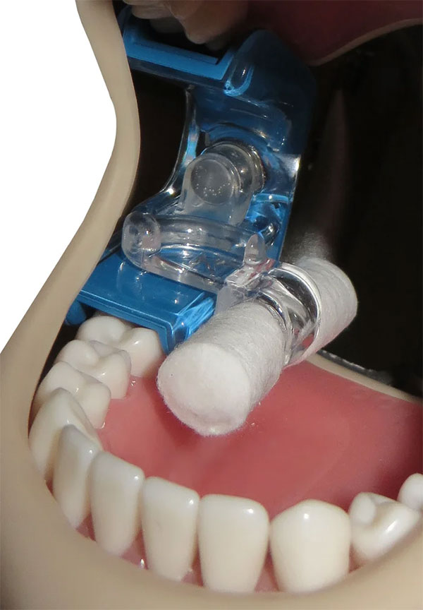 Làm thế nào nước bọt thay đổi hương vị của thức ăn?