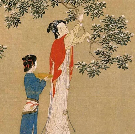 Thú vui giải trí cực 
