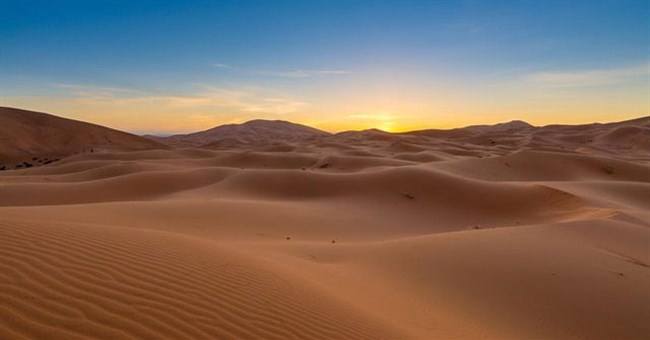 Nhiều người đề xuất phủ xanh sa mạc, chuyên gia cho hay: Nếu làm như vậy, loài người sẽ vô cùng hối hận!