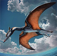 Thằn lằn cổ đại đã phát triển khả năng bay như thế nào?