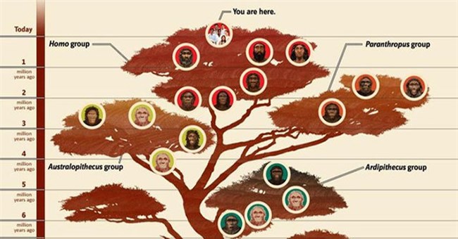 Trong lịch sử, đã có 9 loài người xuất hiện và liệu chúng ta có tiến hóa thành loài mới?