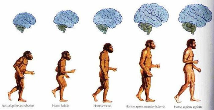 Não loài người từng phát triển rất mạnh nhưng lại đang teo dần sau cách mạng nông nghiệp