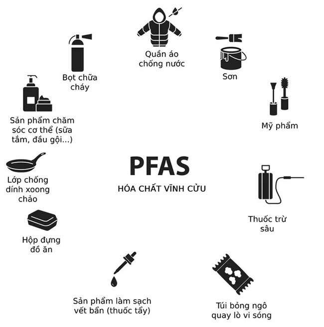 Hoa chất PFAS có trong những đồ dùng hàng ngày