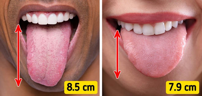 Top 8 sự thật ngẫu nhiên về vạn vật xung quanh chúng ta, tưởng quen thuộc lắm nhưng 90% chẳng hề hay biết