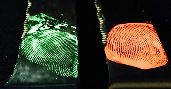 Tại sao dấu vân tay của con người lại khác nhau?