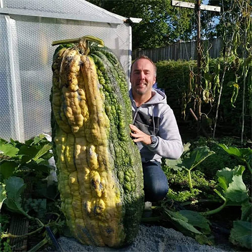 Ánh nắng lưu lại lâu hơn cho phép cây cối phát triển liên tục.