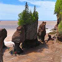 New Brunswick - Nơi khách du lịch có thể gặp "quái vật khổng lồ thời tiền sử"