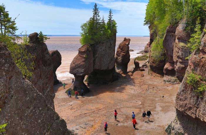 New Brunswick – Nơi khách du lịch có thể gặp “quái vật khổng lồ thời tiền sử”