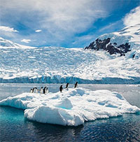 Băng ở Nam Cực chạm mức thấp nhất lịch sử
