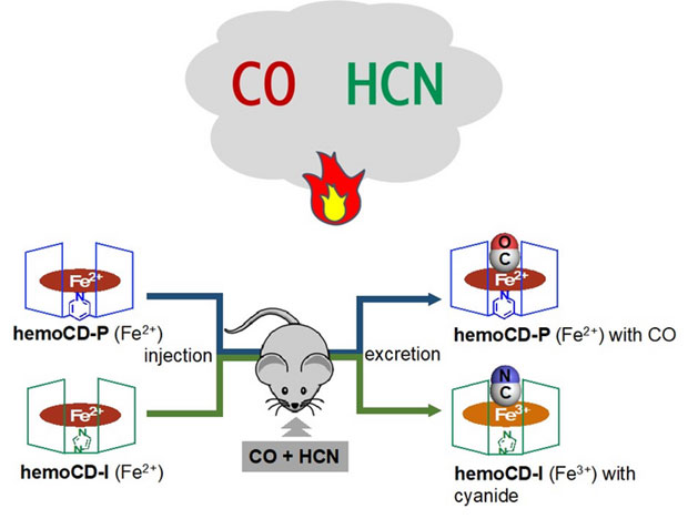 Phát hiện hợp chất có thể cứu sống các bệnh nhân bị ngộ độc khí