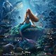 Poster phim "Nàng tiên cá" bị châm biếm vì sai kiến thức khoa học cơ bản