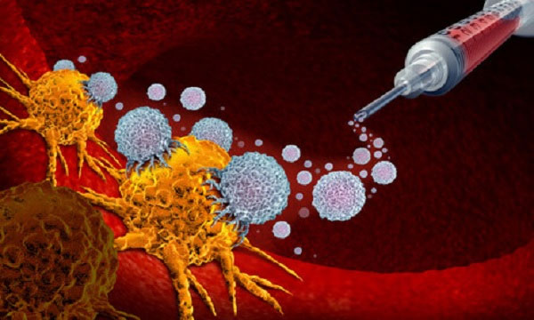Tiêm vi khuẩn vào khối u giúp kích hoạt hệ miễn dịch chống lại ung thư