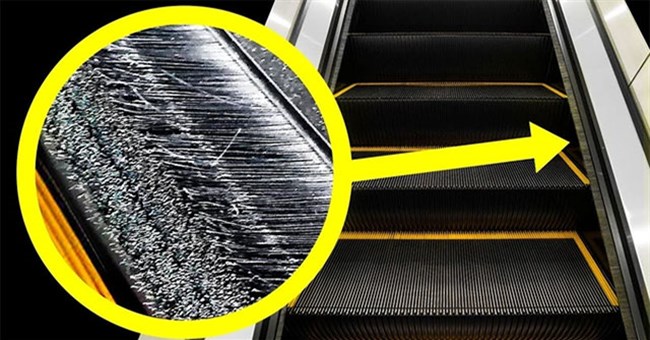 Bạn có biết: Phần lông bàn chải ở cạnh bậc thang cuốn có chức năng gì?