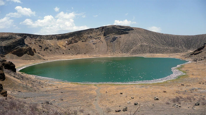Tại sao lại có 12.000 con cá sấu sông Nile sinh sống trong hồ giữa sa mạc?