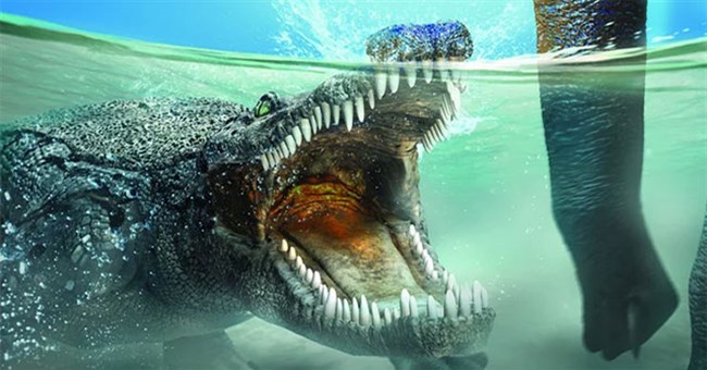 Sinh sống cùng thời với khủng long, tại sao cá sấu không tuyệt chủng?