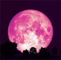 Tối nay, cùng chờ đón trăng hồng kỳ ảo xuất hiện