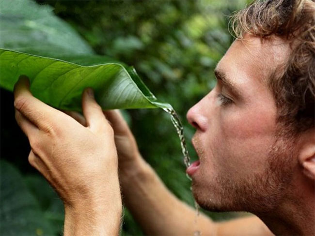 Uống nước mưa liệu có an toàn?
