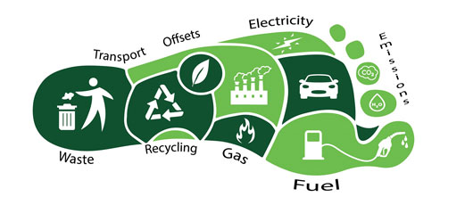 Dấu chân carbon là gì?
