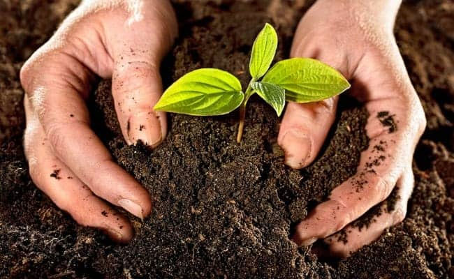 Dấu chân carbon là gì?