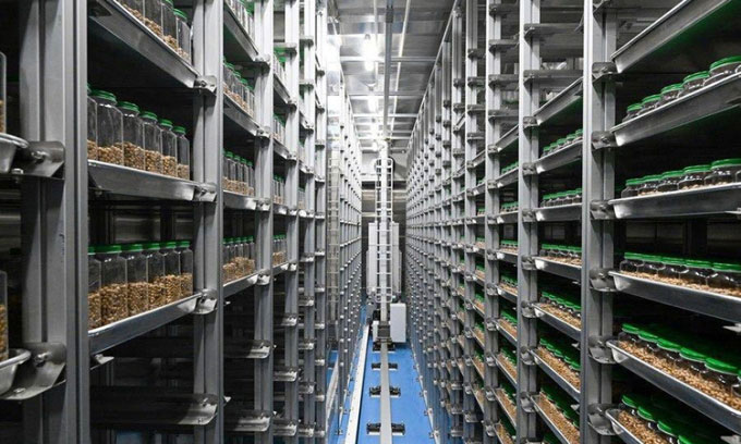Trung Quốc thành lập chuỗi ngân hàng hạt giống để lưu trữ nguồn gene thực vật
