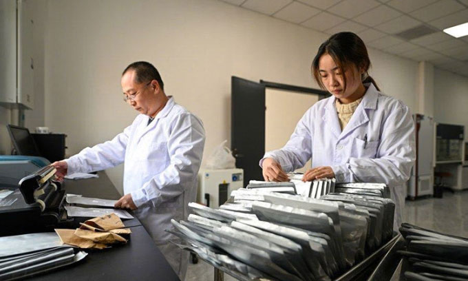 Trung Quốc thành lập chuỗi ngân hàng hạt giống để lưu trữ nguồn gene thực vật
