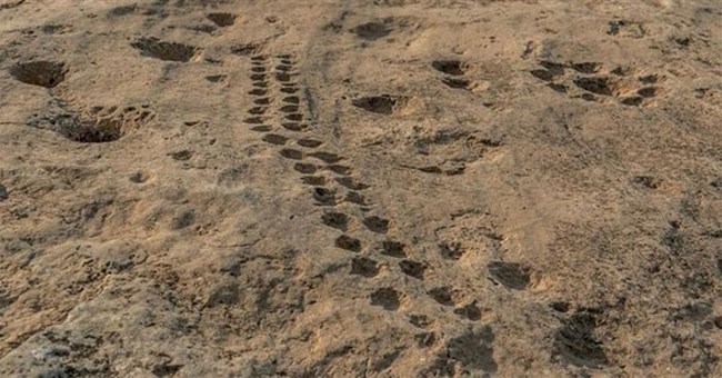 Phát hiện hàng vết lõm song song bí ẩn ở Qatar