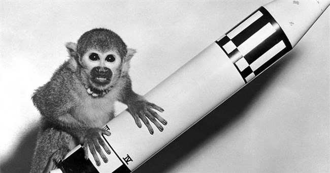 Không chỉ ruồi và gián ngay cả ếch, cá hay chim cút cũng từng được sinh ra và lớn lên trong không gian 