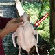 Mổ vịt bất ngờ đụng trúng "vật thể lạ trong suốt", tưởng đồ bỏ hóa ra giá hơn 300 tỷ
