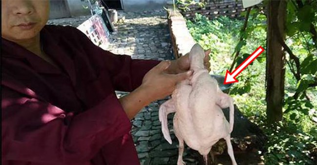 Mổ vịt bất ngờ đụng trúng "vật thể lạ trong suốt", tưởng đồ bỏ hóa ra giá hơn 300 tỷ