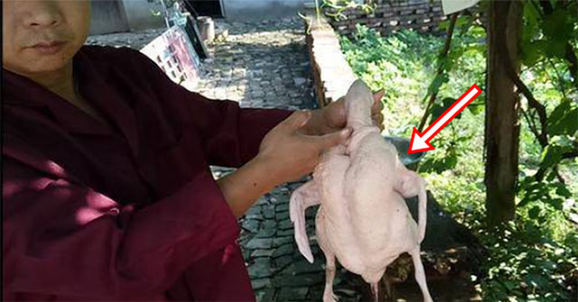 Mổ vịt bất ngờ đụng trúng "vật thể lạ trong suốt", tưởng đồ bỏ hóa ra giá hơn 300 tỷ