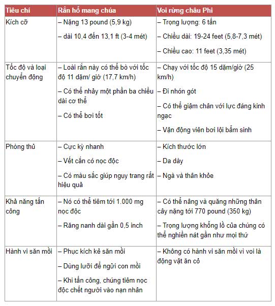 So sánh rắn hổ mang chúa và voi