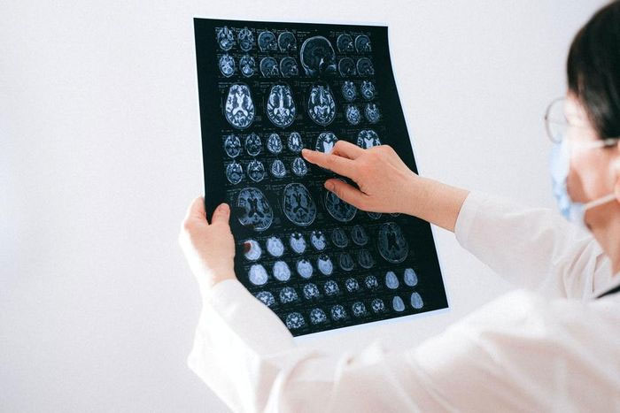 Điều độc đáo đằng sau bộ gene của người