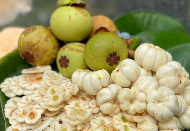Tác dụng của măng cụt