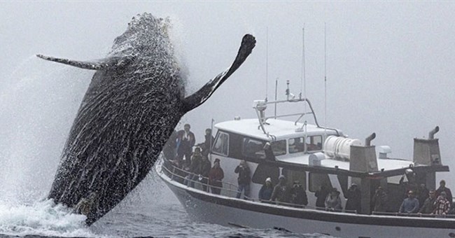 Cảnh ngỡ chỉ có trong phim viễn tưởng xuất hiện trên biển khiến dân mạng sửng sốt